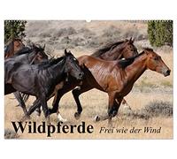 Wildpferde. Frei wie der Wind (Wandkalender 2026 DIN A2 quer), CALVENDO Monatskalender: Die grenzenlose Freiheit der Wildpferde in Amerika