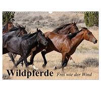 Wildpferde. Frei wie der Wind (Wandkalender 2026 DIN A3 quer), CALVENDO Monatskalender: Die grenzenlose Freiheit der Wildpferde in Amerika