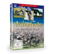 Wildpferde im Merfelder Bruch
