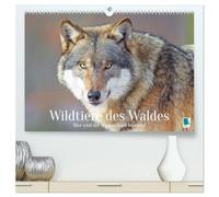 Wildtiere des Waldes: Hier wird der Mythos Wald lebendig (hochwertiger Premium Wandkalender 2026 DIN A2 quer), Kunstdruck in Hochglanz: Bezaubernd schönen Tieraufnahmen und seltene Momente der Ruhe