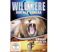 Wildtiere vor der Kamera - Caught in the Act Teil 1