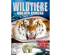 Wildtiere vor der Kamera - Caught in the Act (Teil 2) [DVD]