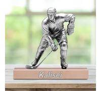 WILINNI Personalizzato 2D Ice Hockey Desktop Decorazione Placca Personalizzato Nome Divertente Acrilico Logo Scrivania Decorazione Regalo Per Famiglia Amici Hockey Amanti Natale (stile 29)