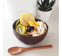 Wilitto Set di 24 ciotole di cocco naturale, ciotole di Buddha riutilizzabili, ciotole per frullati con cucchiai, ciotola in legno di cocco, insalata di frutta e noci per alimenti duri, regali