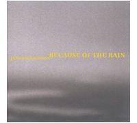 Wilkinson,James - Because of the Rain