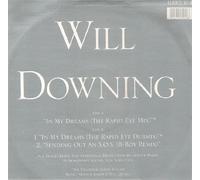 Will Downing - In My Dreams