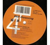Will Downing - Something's going on (Club Remix) [VINYL]