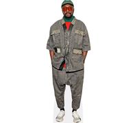 will.i.am (Grey Outfit) mini formato