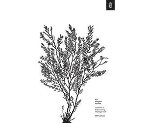 Will Larson An Elegant Puzzle (Copertina rigida)