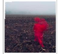 WILL VARLEY - THE HOLE AROUND MY HEAD (Transparent clear)