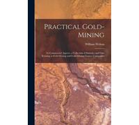 William Welton Practical Gold-Mining (Tascabile)