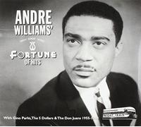 WILLIAMS, ANDRE - A FORTUNE OF HITS