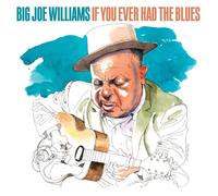 WILLIAMS,BIG JOE IF YOU EVER HAD THE BLUES (ECO) CD NUOVO