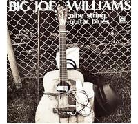 Williams Big Joe - Nine String Guitar Blues