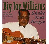 Williams, Big Joe - Shake Your Boogie
