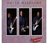 WILLIAMS, DAVID - SOMETHING SPECIAL