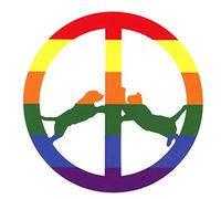 Williams Hype - Rainbow Edition