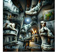 the halls of piranesi