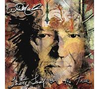 Vinile Willie Nelson - Last Leaf On The Tree