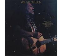 WILLIE NELSON - What A Wonderful World