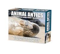 Willow Creek Press, Animal Antics 2027 - Calendario da 13,7 x 15,7 cm