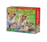 Willow Creek Press, Baby Animals 2027 - Calendario da 13,7 x 15,7 cm