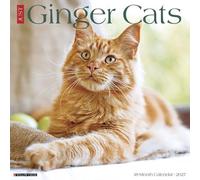 Willow Creek Press, Calendario da parete 2027 Ginger Cats