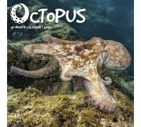 Willow Creek Press, Calendario da parete 2027 Octopus