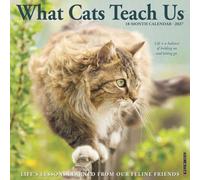 Willow Creek Press, Calendario da parete 2027 What Cats Teach Us