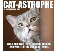 Willow Creek Press, Cat-astrophe 2027, mini calendario da parete, 17,8 x 17,8 cm