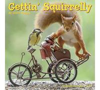 Willow Creek Press, Gettin Squirrelly 2027 - Mini calendario da parete, 17,8 x 17,8 cm