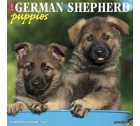 German Shepherd Puppies 2027 Wall