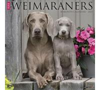 Willow Creek Press, Just Weimaraners - Calendario da parete 2027