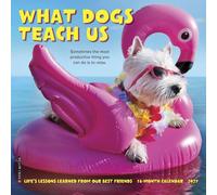 Willow Creek Press, Mini calendario da parete 2027 con scritta "What Dogs Teach Us"