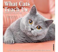 Willow Creek Press What Cats Teach Us 2026 12 X 12 Wall Calendar (Calendar)