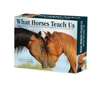 Willow Creek Press, What Horses Teach Us 2027 - Calendario da 13,7 x 15,7 cm