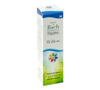 Guna Willow Gocce 10ml