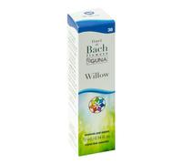 Willow Guna Gocce 10 Ml 10 ml Gocce orali