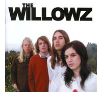 WILLOWZ - TALK IN CIRCLES
