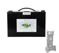 WILLQ Batteria agli ioni di Litio da 48 V e 48 Ah per carrelli elevatori elettrici per Scale, Pacco Batteria di Ricambio