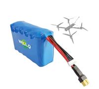 WILLQ Batteria al Litio 6S 22,2 V 10 C per aeromodelli 8000 mAh 12000 mAh 15000 mAh Batteria di Backup per droni FPV/Parte di Ricambio per Fotografia Aerea,22.2v 8000mah 6s2p