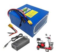 WILLQ Batteria al Litio da 24 Volt 24V 7,5AH 10AH 12,5AH 15AH 20AH 25AH Batteria Interna di Ricambio in PVC con Porta XT60 per Kit Motore per Scooter Elettrico da 0-600 W,24v12.5ah