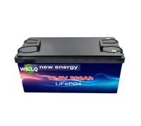 WILLQ Batteria LiFePO4 12,8V 200Ah a Ciclo Profondo (Litio-Ferro-fosfato) con BMS Integrato; Ideale per Golf Cart, Camper, sistemi di accumulo Solare e Kit di Ricambio 12V