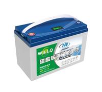 WILLQ Batteria LiFePO4 da 25,6 V, Batteria al Litio Ricaricabile da 24 V | 24 Volt 12Ah 18Ah 25Ah 30Ah 48Ah 60Ah, 2000 cicli profondi, per luci campeggio/ecoscandagli/auto escursioni turistiche