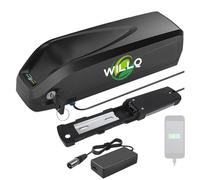 WILLQ Batteria Litio 48V 13Ah 15Ah 17,5Ah 20Ah per Bici/Scooter elettrici con BMS + Display LED + Blocco Sicurezza Adatta per Motori ciclomotori e Biciclette Pieghevoli 250W-1000W,S039 3 48v17.5ah