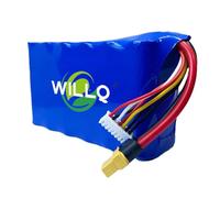 WILLQ Batteria Litio Ricambio 22,2V 8000mAh 6S2P ad Alta velocità Modelli droni con Spina XT60 per Modelli droni FPV, quadricotteri, elicotteri, aeroplani, Barche RC, Auto da Corsa