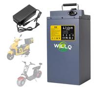 WILLQ Batteria per Scooter da 48 Volt, Batteria agli ioni di Litio da 48V 15Ah 20Ah 25Ah per Bicicletta elettrica, Motore per Motocicletta a Triciclo Elettrico 500W 750W 1000W 1200W,48v20ah