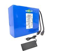 WILLQ Pacco batterie ai polimeri di Litio da 12 Volt CC 19Ah 21Ah 23Ah 32Ah 35Ah 42Ah 45Ah, Batteria Portatile Ricaricabile per apparecchiature a 12V,12v42000mah