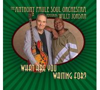 Willy Jordan What Are You Waiting for? (Vinyl LP)