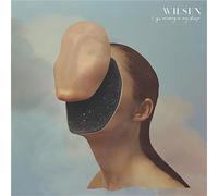 Wilsen - I Go Missing In My Sleep